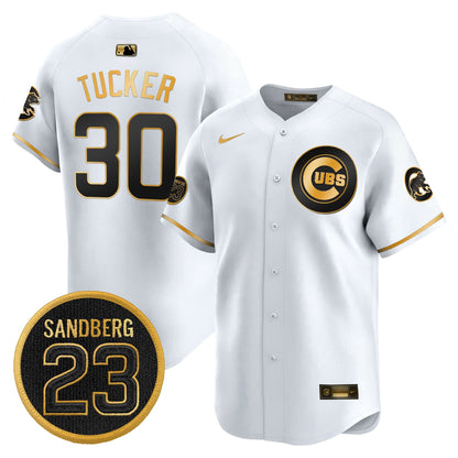 Men's Chicago Cubs 'Ryne Sandberg Tribute' Vapor Premier Limited Jersey V2 - All Stitched