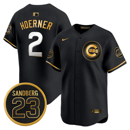 Men's Chicago Cubs 'Ryne Sandberg Tribute' Vapor Premier Limited Jersey V2 - All Stitched